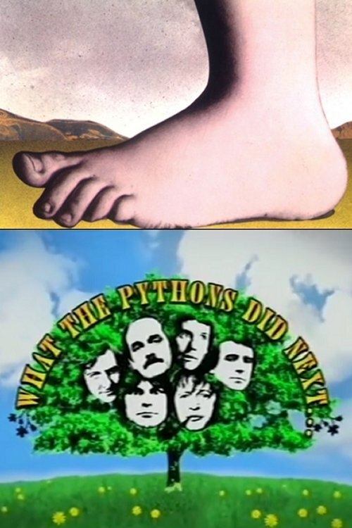 Постер What the Pythons Did Next...